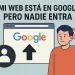 Mi web está en Google pero nadie entra